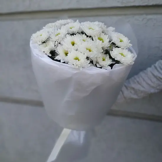 Белые хризантемы - 3