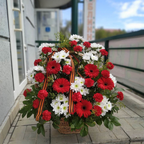 Корзина-11