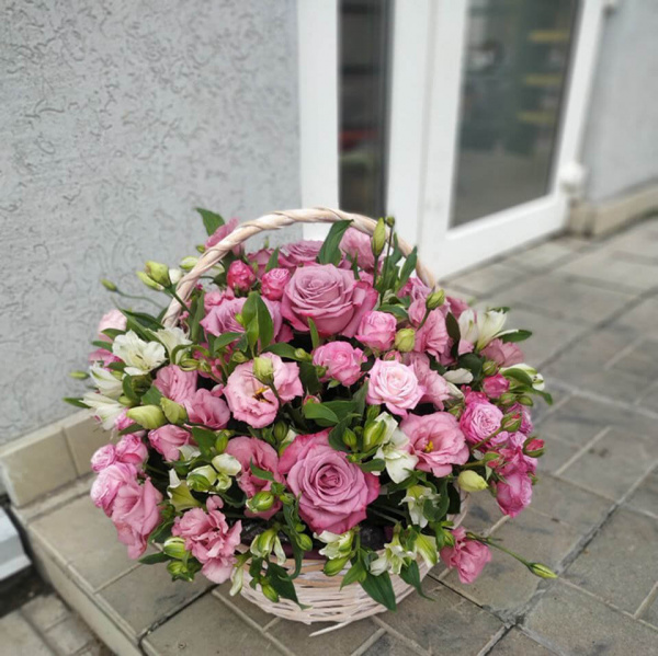 Корзина-15